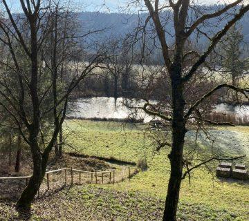 Einsatz Schwan Einsatz Schwan