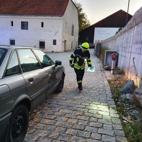 THL Leistungsabzeichen 2021 THL Leistungsabzeichen 2021
