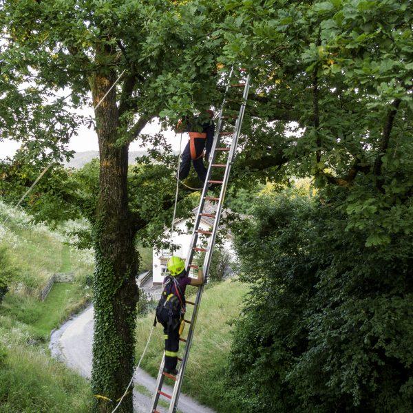 Übung_Absturzsicherung
