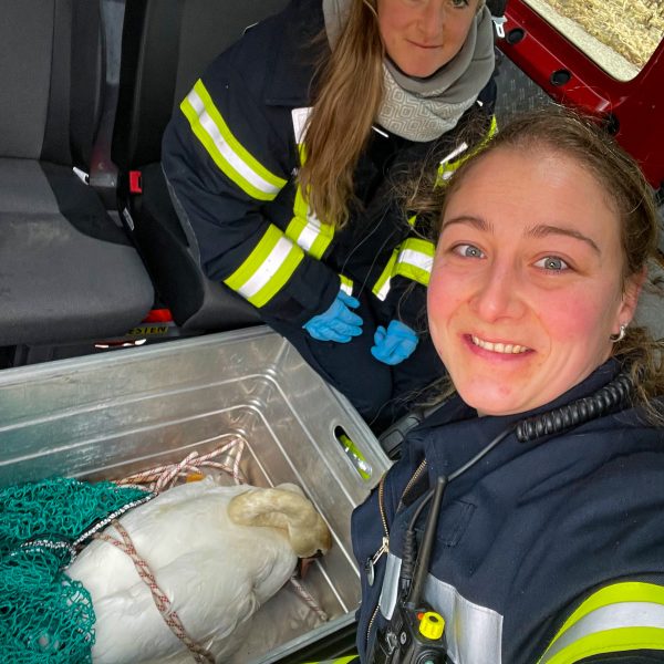 Einsatz Schwan 20220131 Einsatz Schwan 20220131