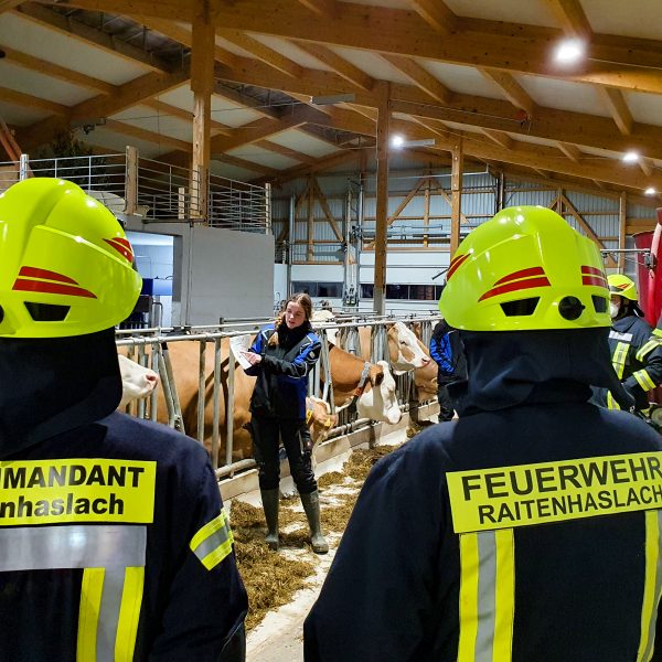 Übung Tiere 20210308 Übung Tiere 20210308