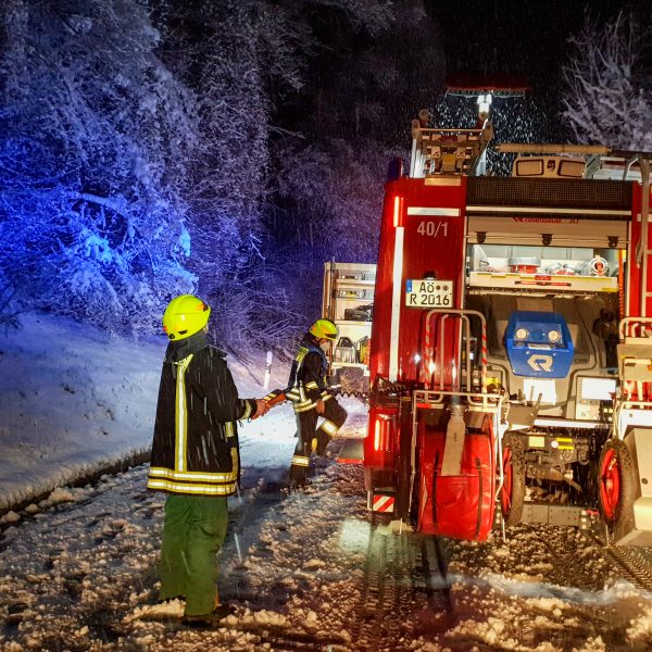 Einsatz Schneebruch 20210319 Einsatz Schneebruch 20210319