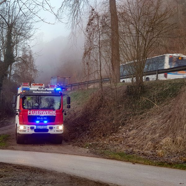 Einsatz Katze 20210325 Einsatz Katze 20210325