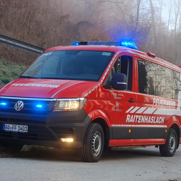 Einsatz Katze 20210325 Einsatz Katze 20210325