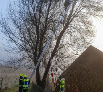 Einsatz Katze 20210325 Einsatz Katze 20210325