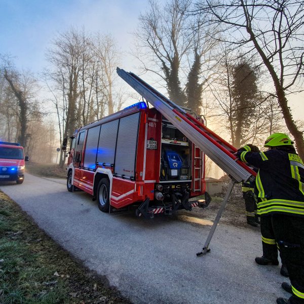 Einsatz Katze 20210325 Einsatz Katze 20210325