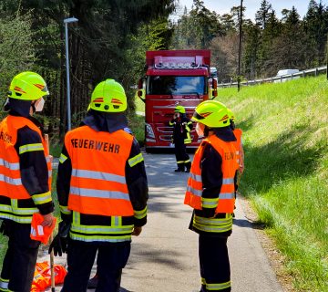 Einsatz Rinder 20210430 Einsatz Rinder 20210430