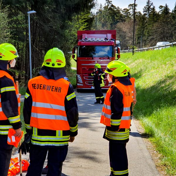 Einsatz Rinder 20210430 Einsatz Rinder 20210430