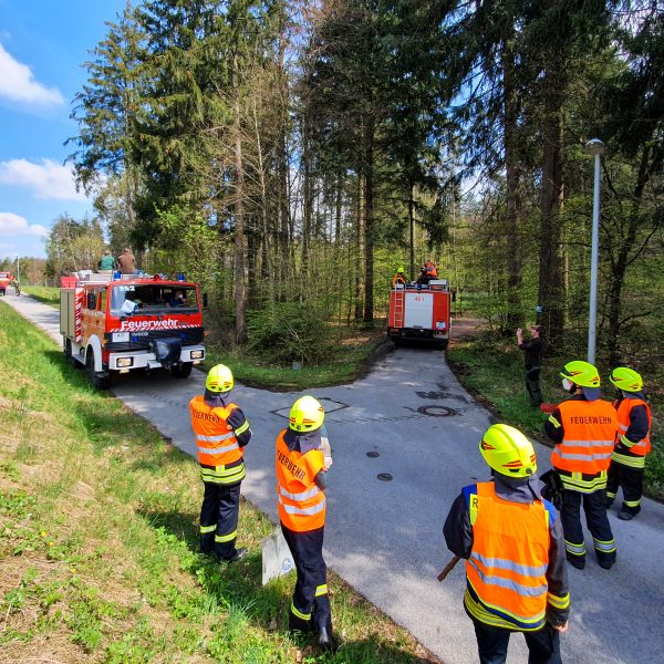 Einsatz Rinder 20210430 Einsatz Rinder 20210430