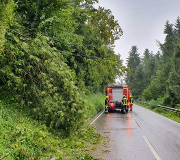 Einsatz Baum 20210801 Einsatz Baum 20210801