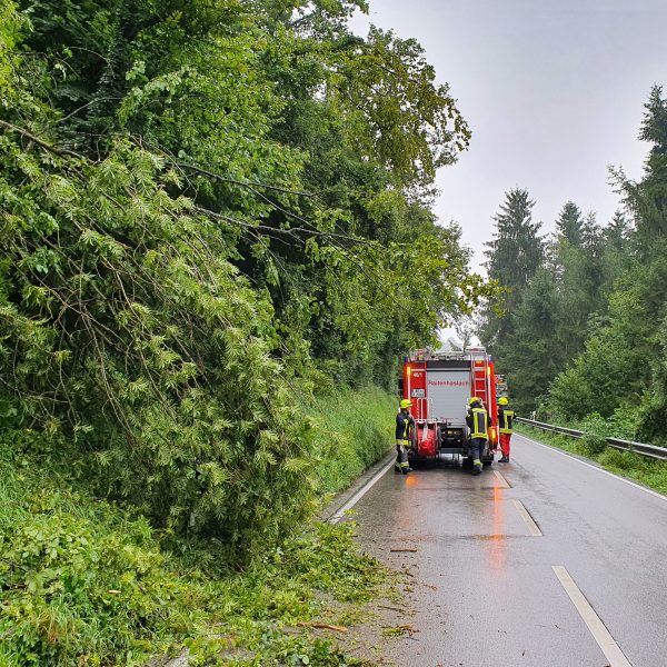 Einsatz Baum 20210801 Einsatz Baum 20210801