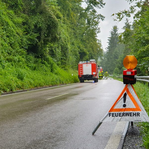 Einsatz Baum 20210801 Einsatz Baum 20210801