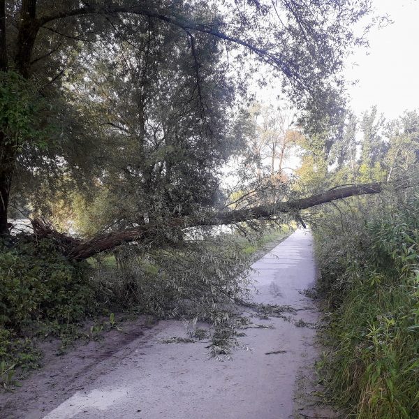 Einsatz 20210806 Einsatz 20210806