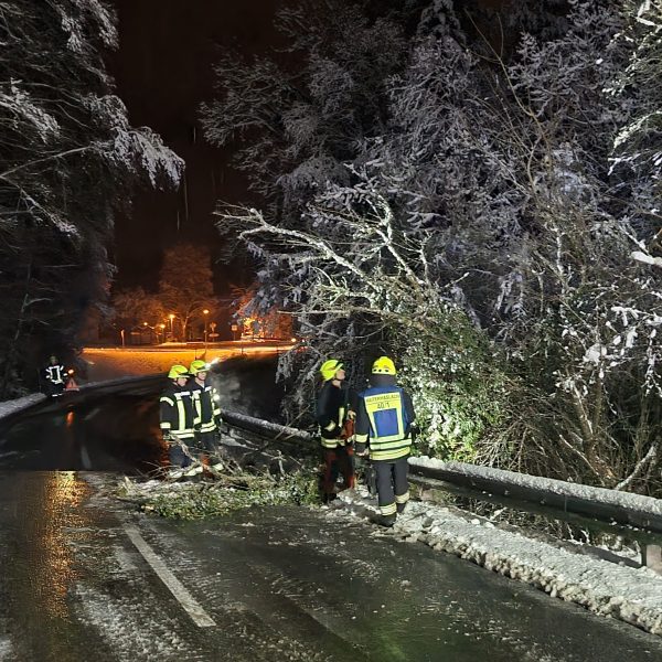 Einsatz Schneebruch 20221215 Einsatz Schneebruch 20221215