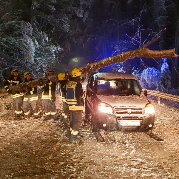 Einsatz Schneebruch 20221215 Einsatz Schneebruch 20221215