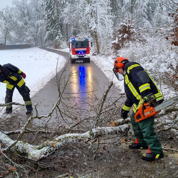 Einsatz Schneebruch 20221216 Einsatz Schneebruch 20221216