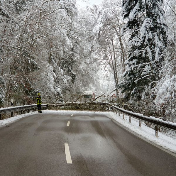 Einsatz Schneebruch 20221216 Einsatz Schneebruch 20221216