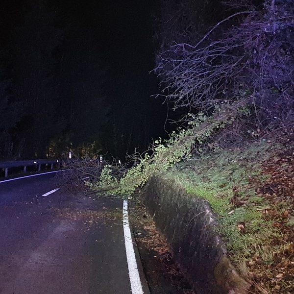 Einsatz 20221224 Einsatz 20221224