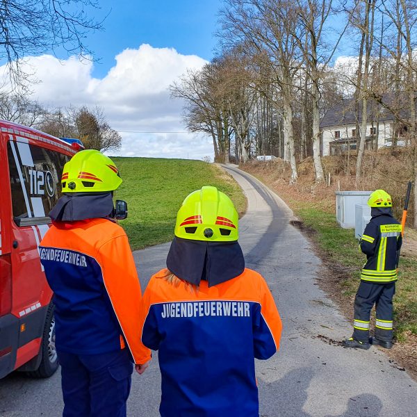 Einsatz Ölspur 20230311 Einsatz Ölspur 20230311