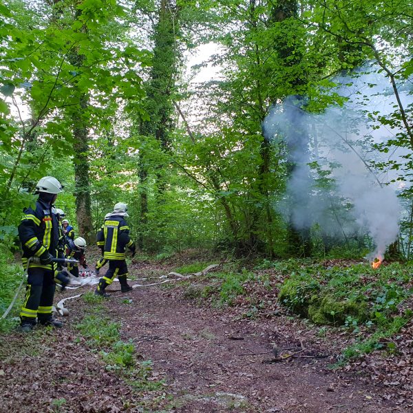 Waldbrandübung 20230522 Waldbrandübung 20230522