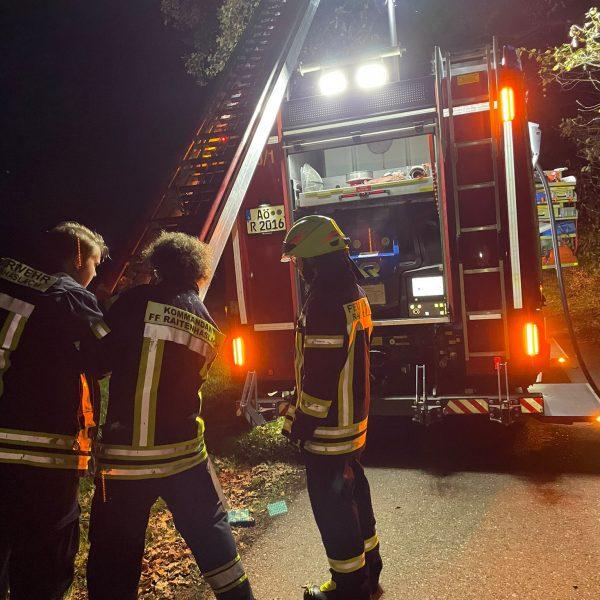 Einsatz Katze Einsatz Katze