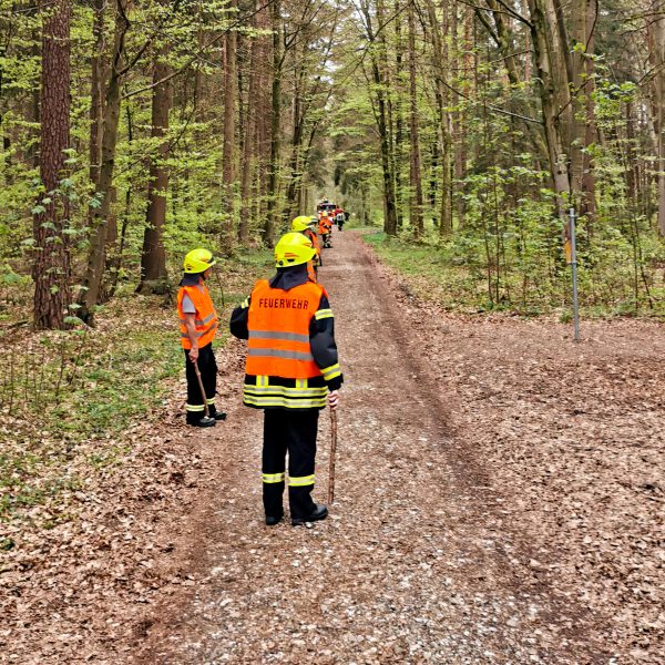 Einsatz Rinder 20210430 Einsatz Rinder 20210430