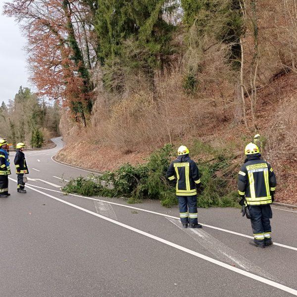 Einsatz Wohnmobil Einsatz Wohnmobil