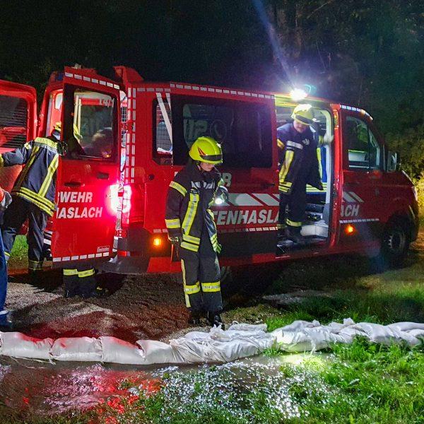 Einsatz Büffelweide Einsatz Büffelweide