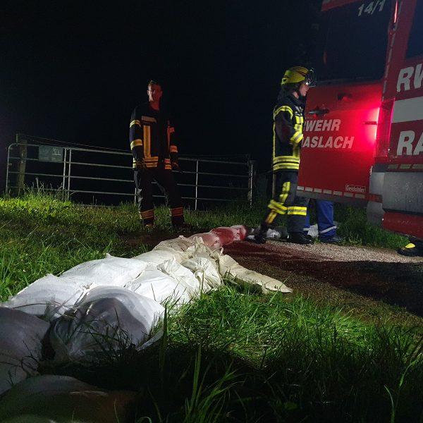 Einsatz Büffelweide Einsatz Büffelweide