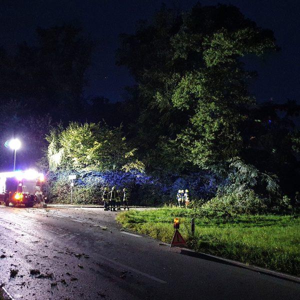 Einsatz Baum 20230825