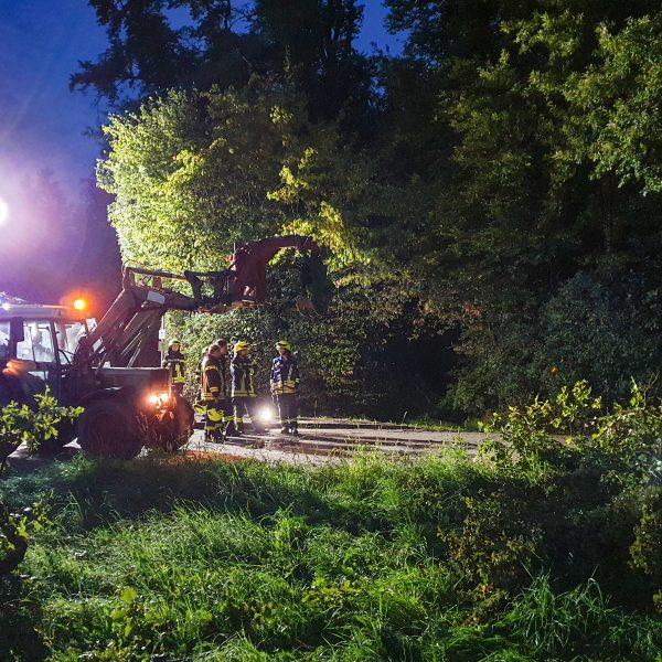 Einsatz Baum 20230825
