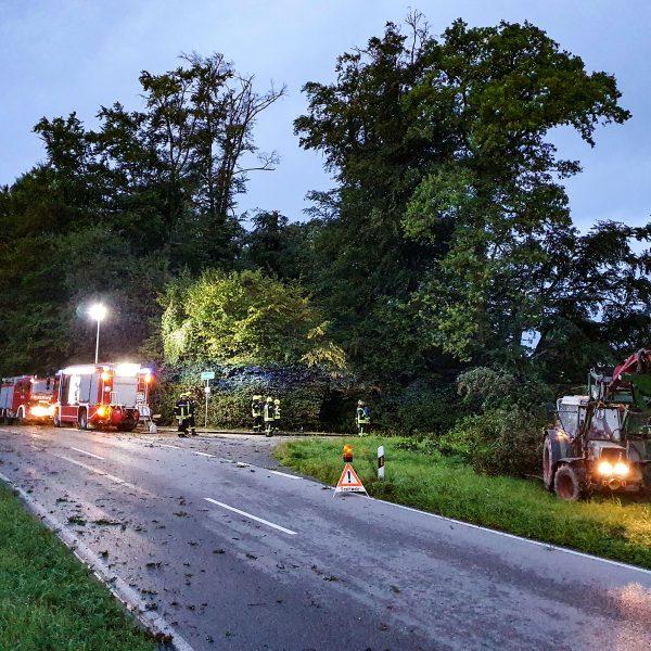 Einsatz Baum 20230825