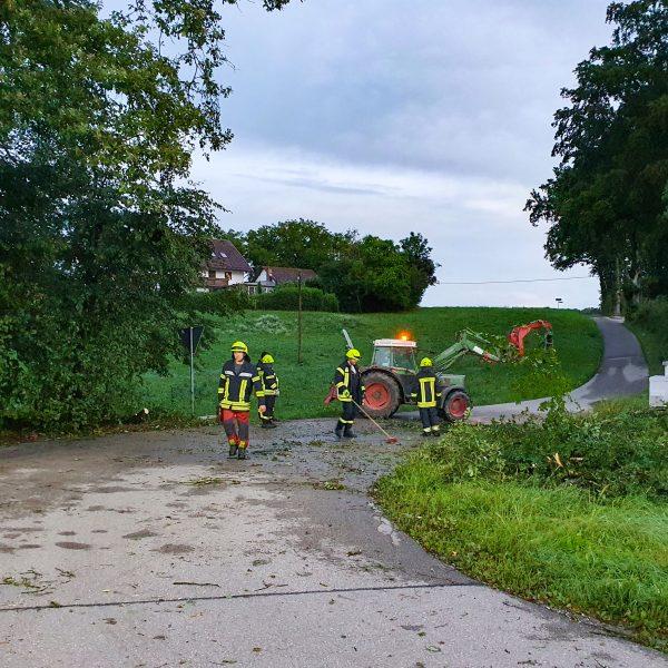 Einsatz Baum 20230825