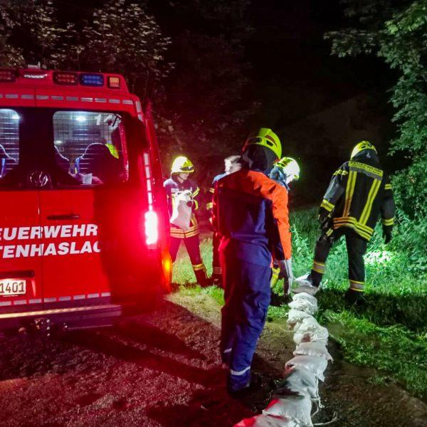 Einsatz Büffelweide Einsatz Büffelweide