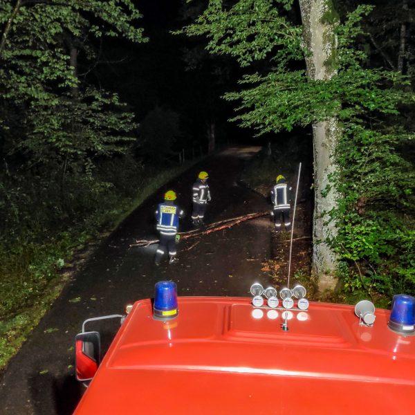 Einsatz Baum 20230825