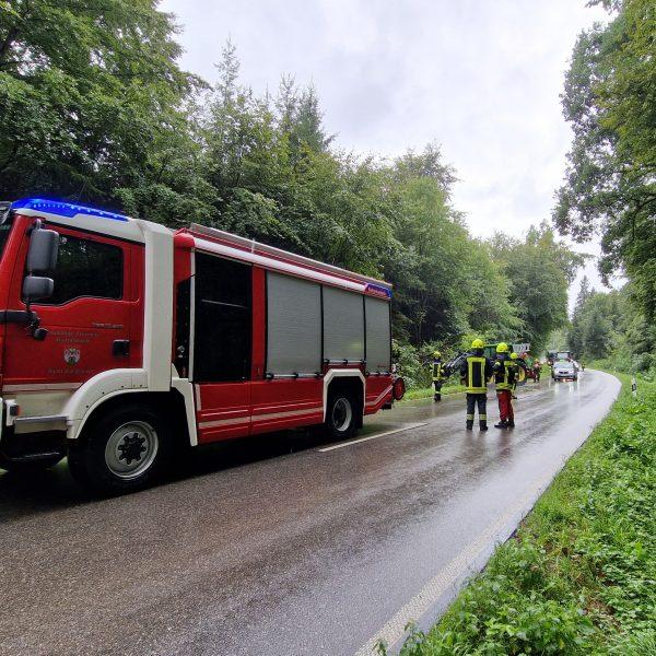 Einsatz Ast