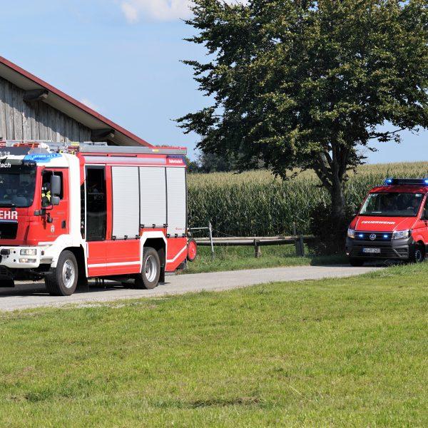 Einsatz Rind