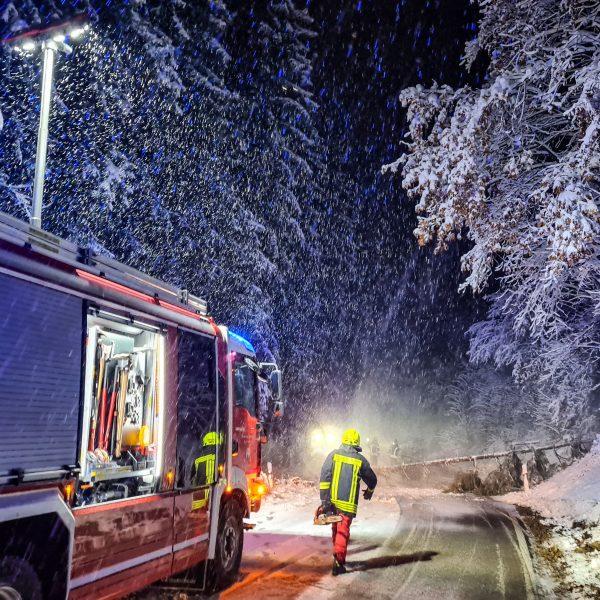 Schneebruch 2023 Schneebruch 2023