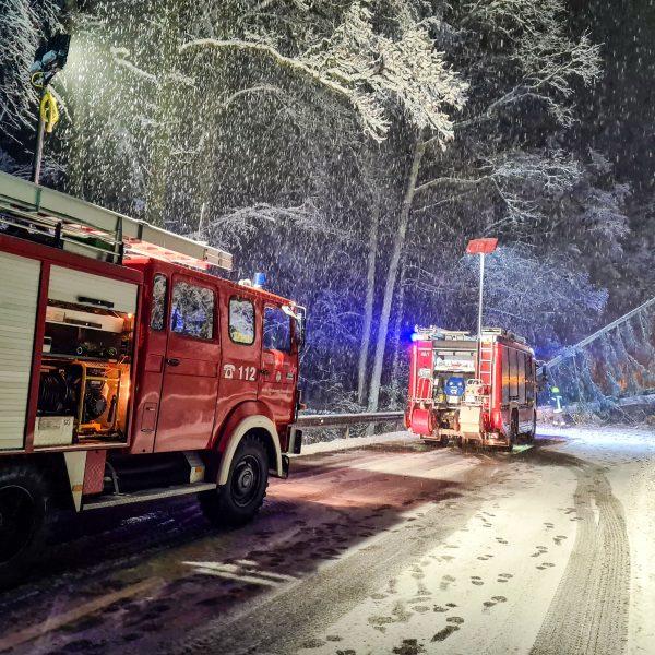 Schneebruch 2023 Schneebruch 2023