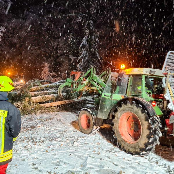 Schneebruch 2023 Schneebruch 2023