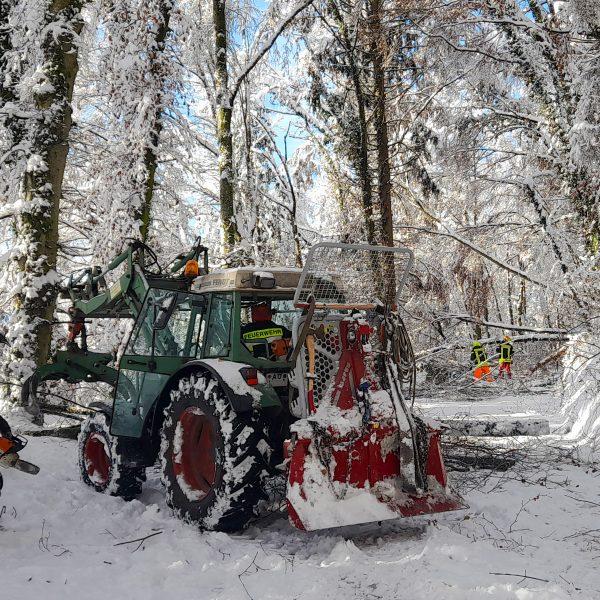 Schneebruch 2023 Schneebruch 2023