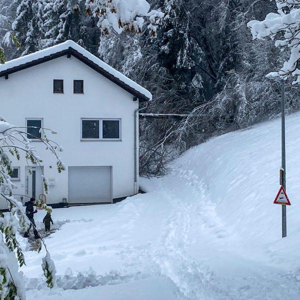 Schneebruch 2023 Schneebruch 2023