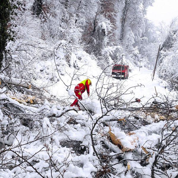 Schneebruch 2023 Schneebruch 2023