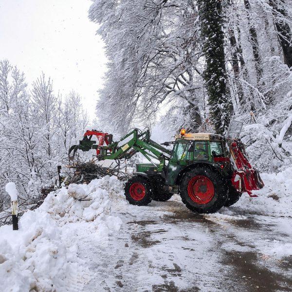 Schneebruch 2023 Schneebruch 2023