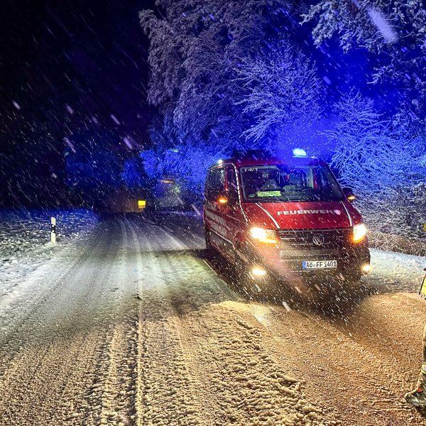 Schneebruch 2023 Schneebruch 2023