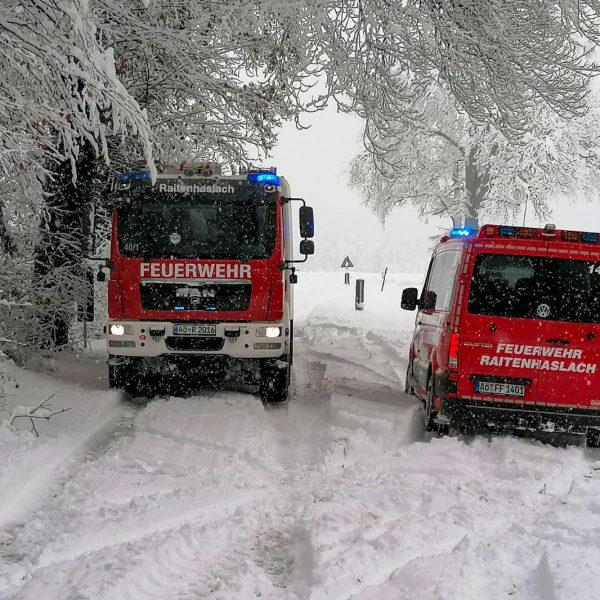 Schneebruch 2023 Schneebruch 2023