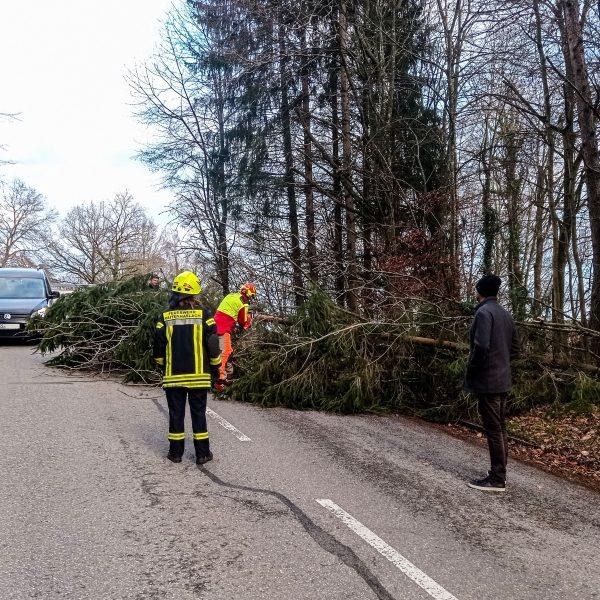 Einsatz_20240103 Einsatz_20240103