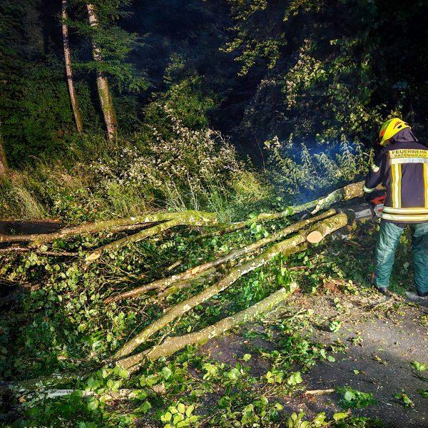 Einsatz 20260629